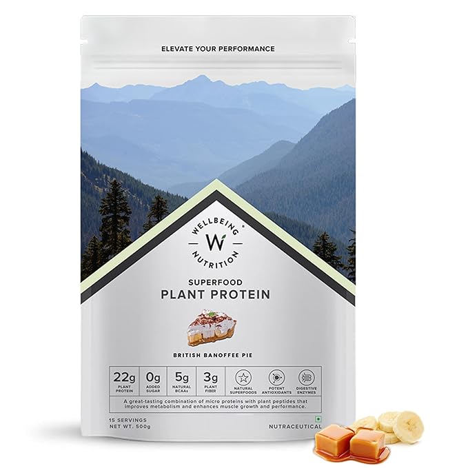 Wellbeing Nutrition Organic Vegan Plant Protein Isolate Powder