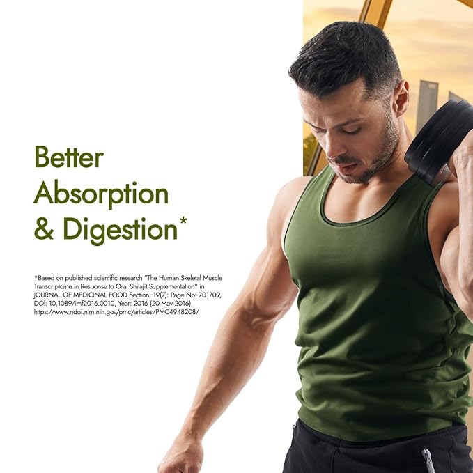 Kapiva Testofuel Shilajit Whey Protein