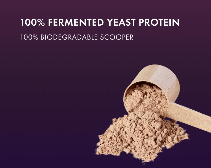 Cosmix No-Nonsense Fermented Yeast Protein | 24g Protein | Dairy-Free